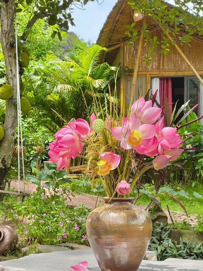 Trang An Lamia Bungalow Ninh Binh Exterior foto